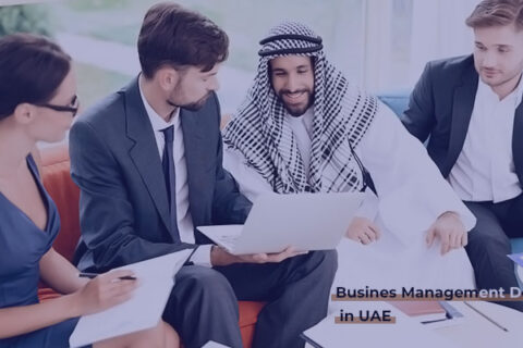 Business Management Degree in UAE