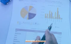 5 Principles of Finance Every Professional Should Know