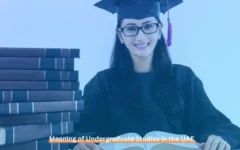 Meaning of Undergraduate Studies in the UAE