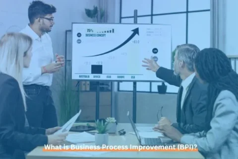 What is Business Process Improvement (BPI)?