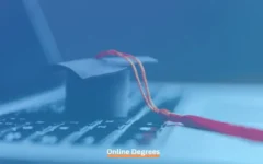 Top 10 Online Degrees in UAE
